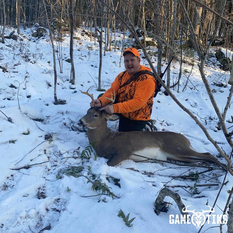 deer harvest by Abraham Bradeen