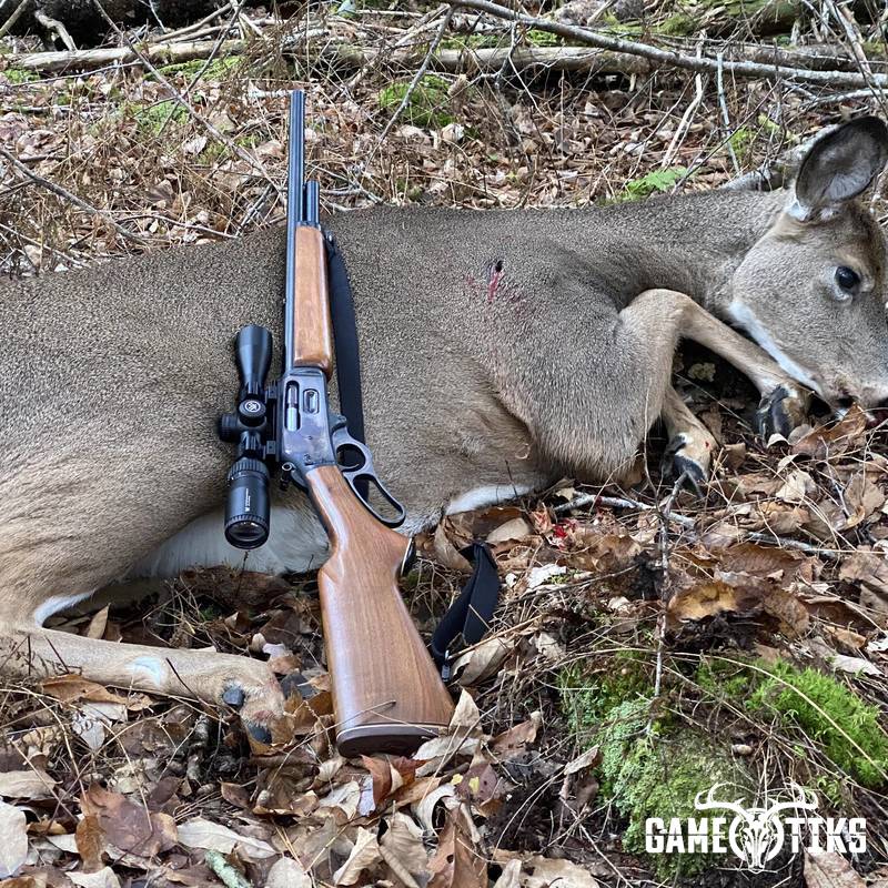deer harvest by Brandon Mitchell