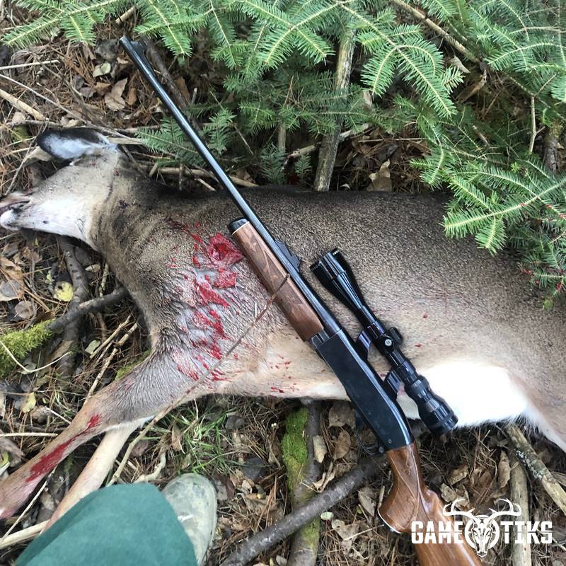 deer harvest by Christopher Taylor