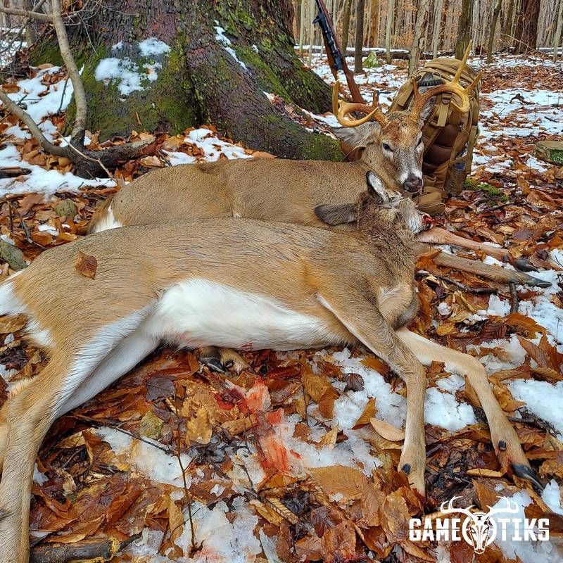deer harvest by Riley Clugston