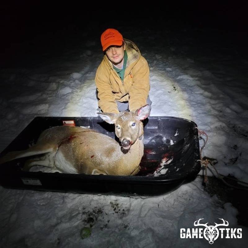 deer harvest by Darren Harriman