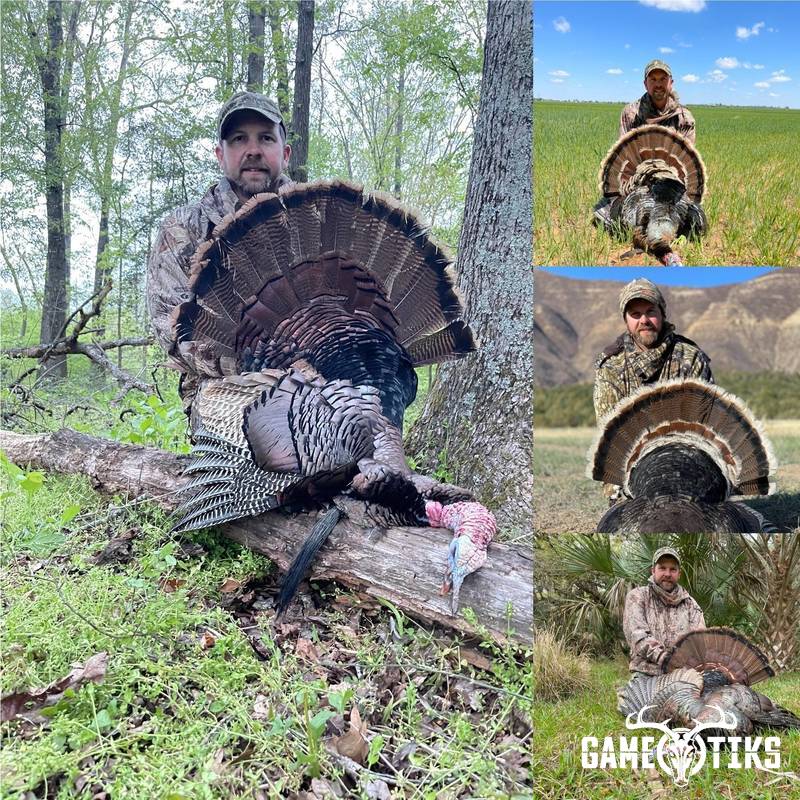 turkey harvest by Matt Queen