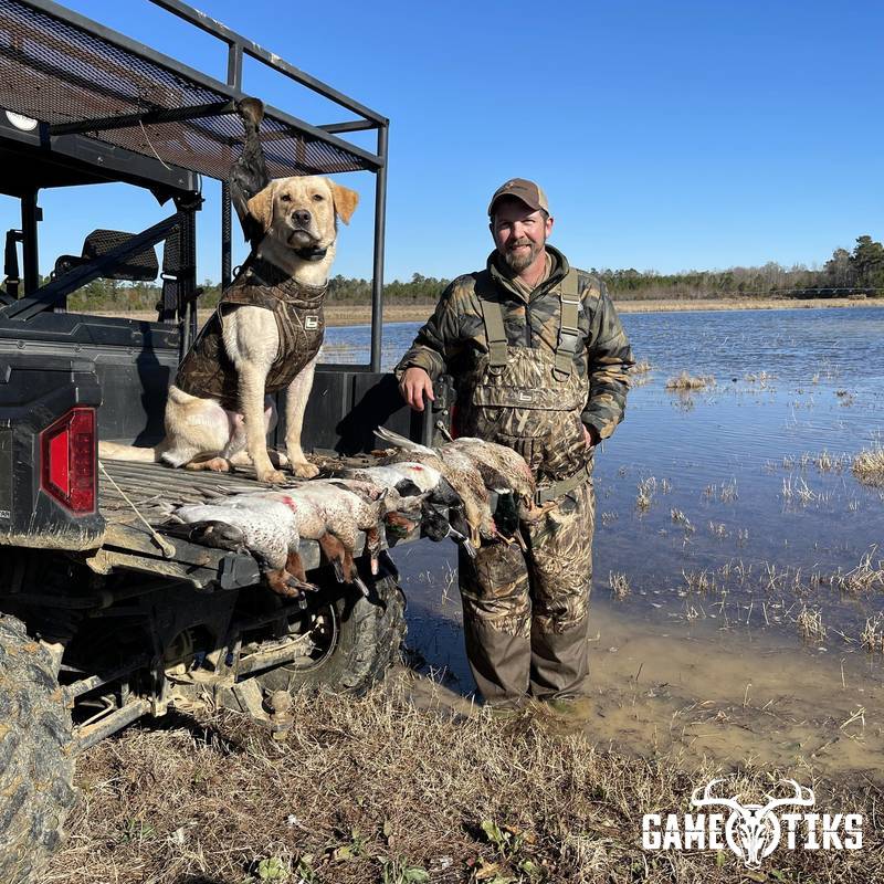 waterfowl harvest by Matt Queen