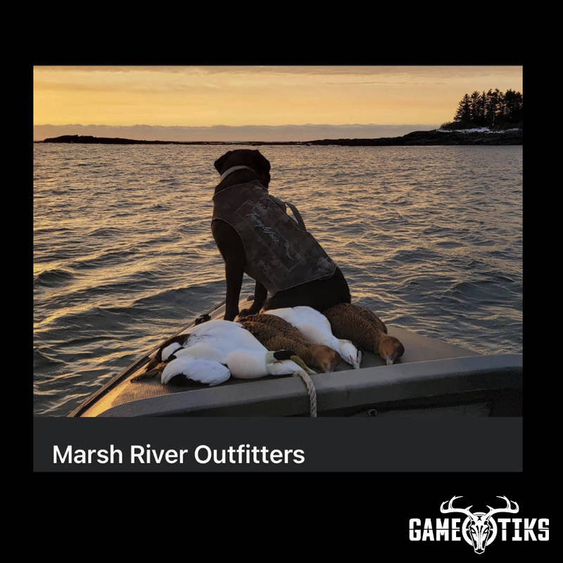 waterfowl harvest by Marsh River Outfitters