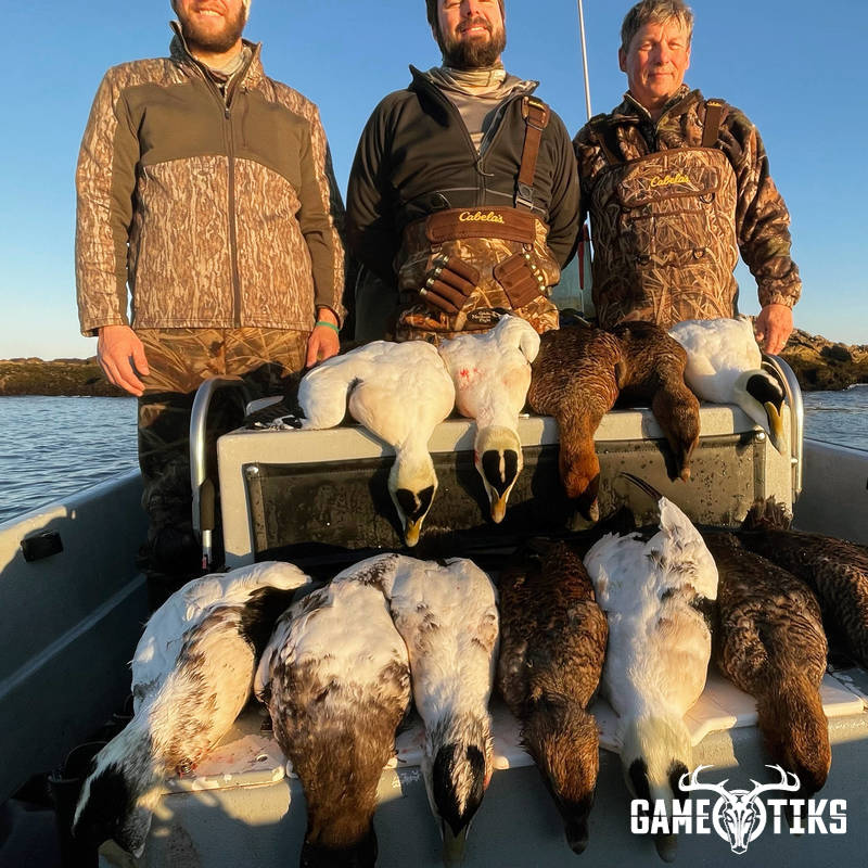 waterfowl harvest by Maine Experience Guide Service
