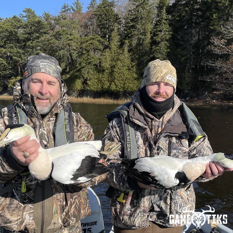 waterfowl harvest by Maine Experience Guide Service