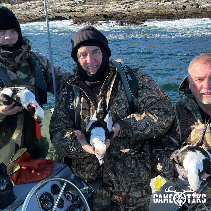waterfowl harvest by Maine Experience Guide Service