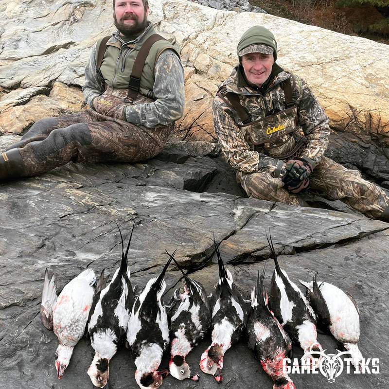 waterfowl harvest by Maine Experience Guide Service