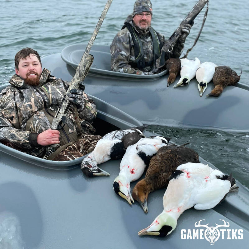 waterfowl harvest by Maine Experience Guide Service
