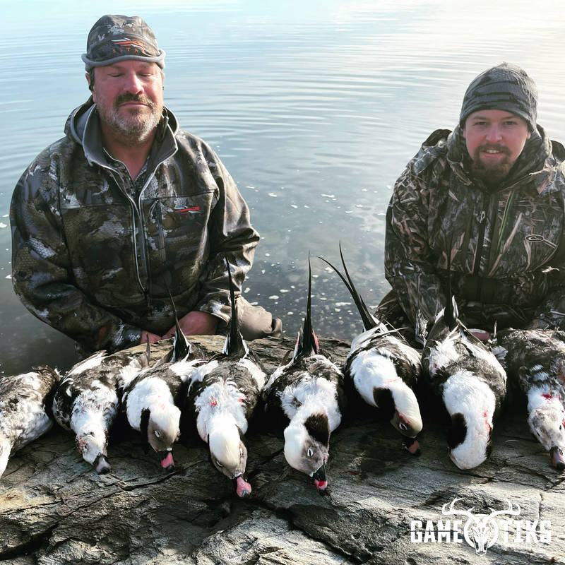 waterfowl harvest by Maine Experience Guide Service