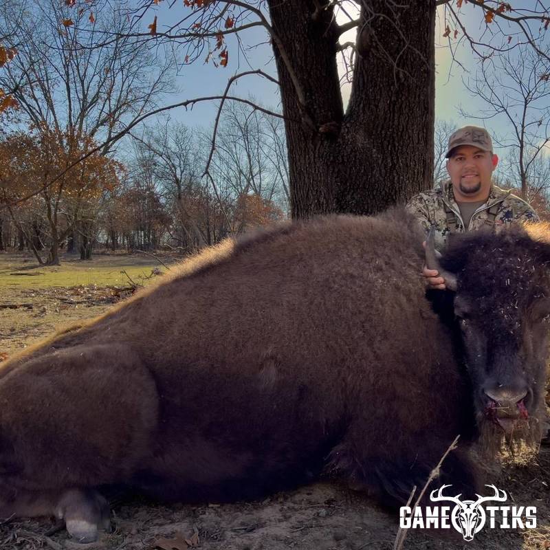 buffalo harvest by Black Mountain Hunts LLC