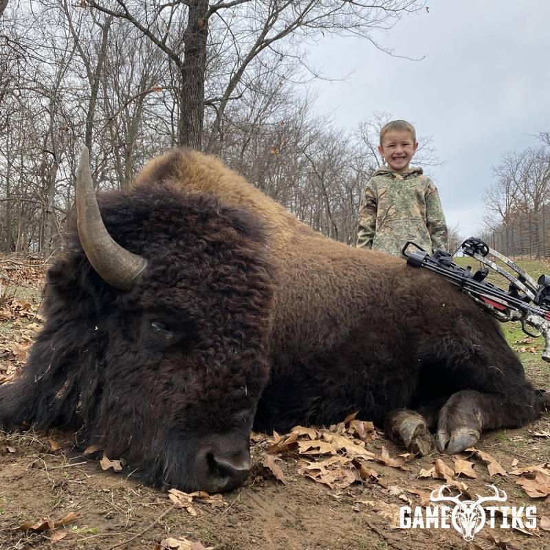 buffalo harvest by Black Mountain Hunts LLC