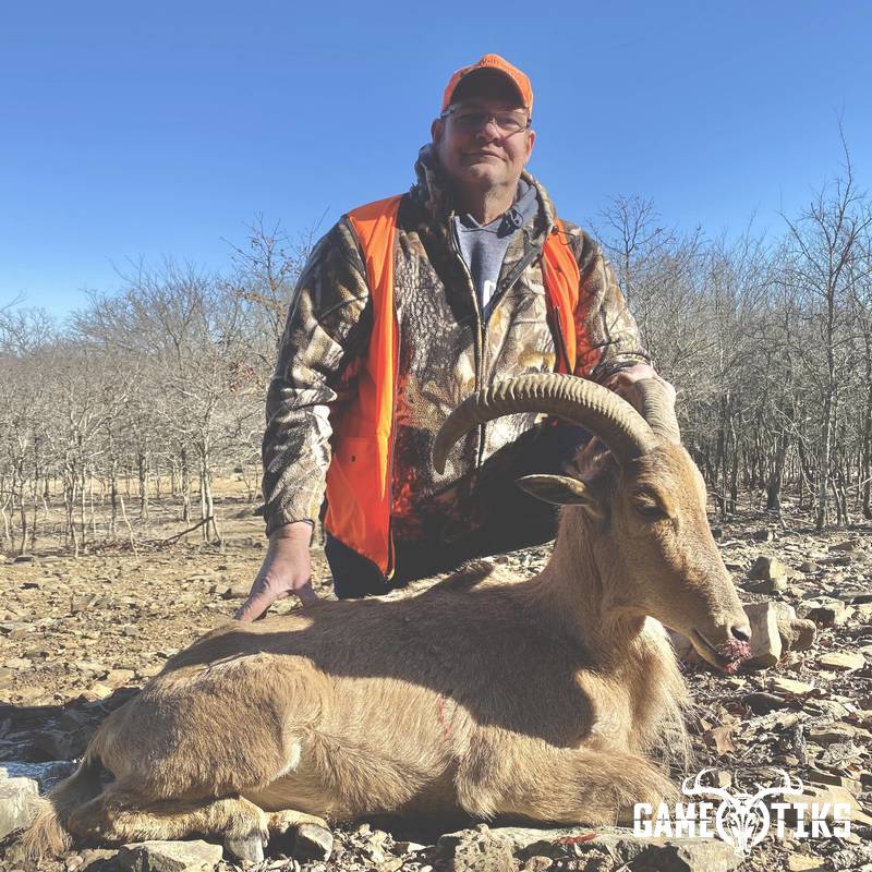bovid harvest by Black Mountain Hunts LLC