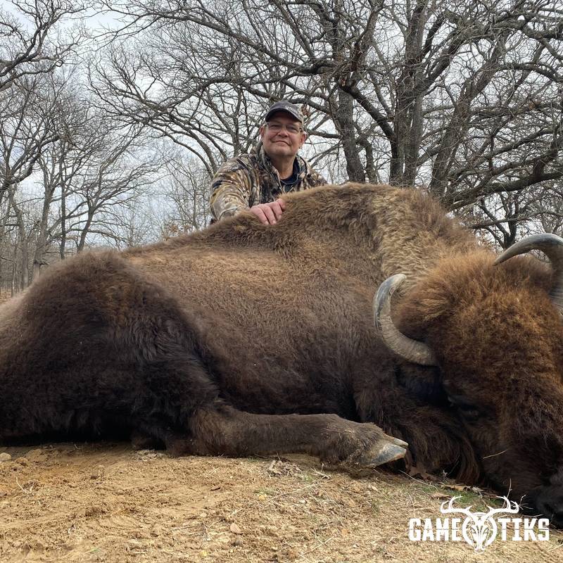 buffalo harvest by Black Mountain Hunts LLC