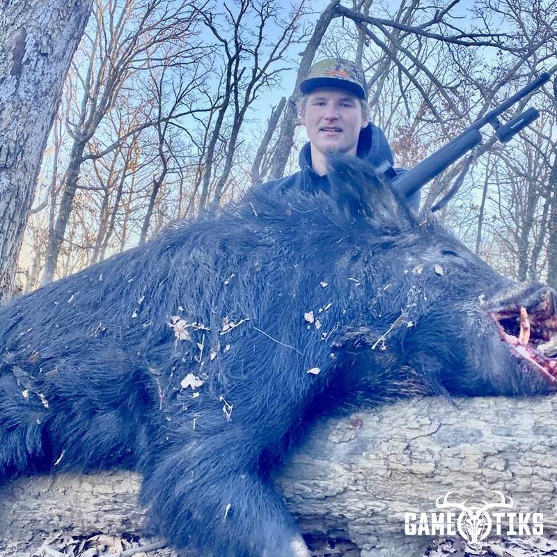 boar harvest by Black Mountain Hunts LLC