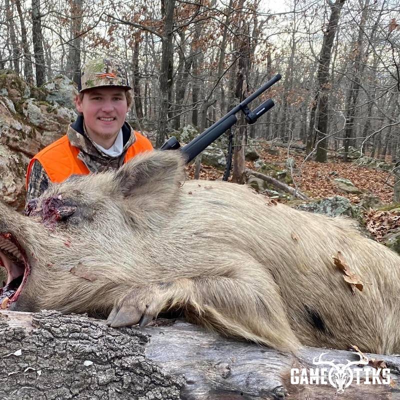 boar harvest by Black Mountain Hunts LLC