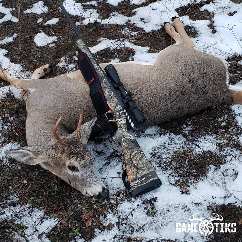 deer harvest by walter