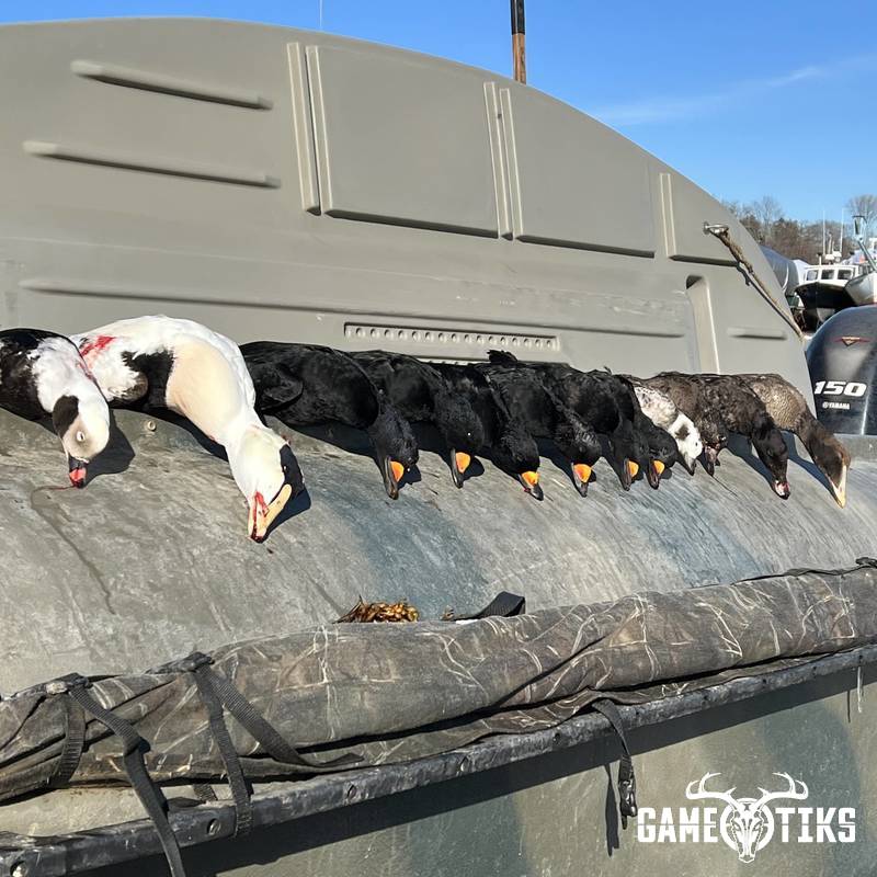 waterfowl harvest by Brett Neiman