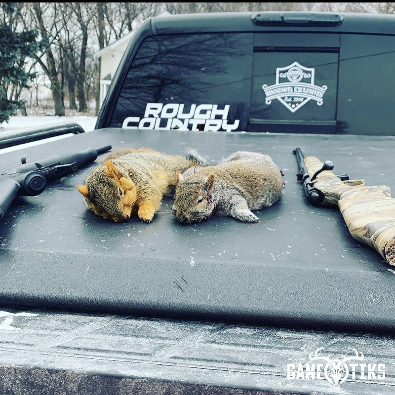 squirrel harvest by Austin Pahl