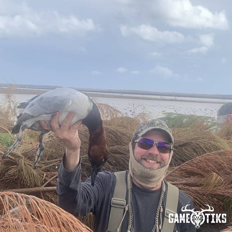 waterfowl harvest by Matt Queen