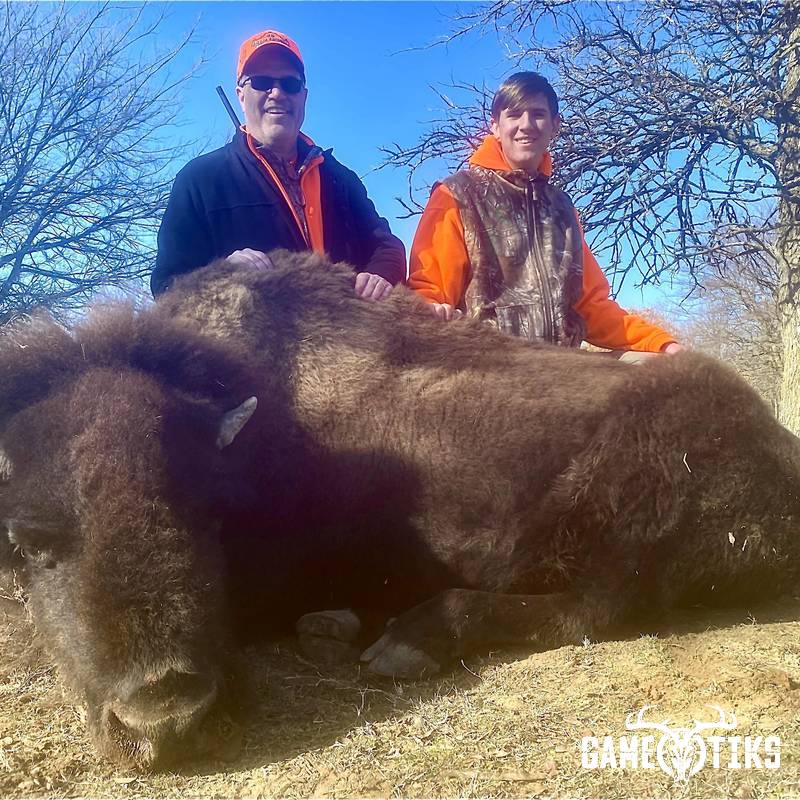 buffalo harvest by Black Mountain Hunts LLC