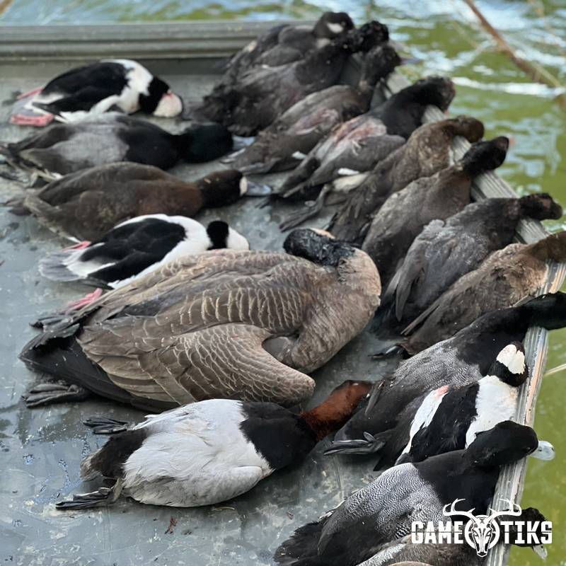 waterfowl harvest by Brett Neiman