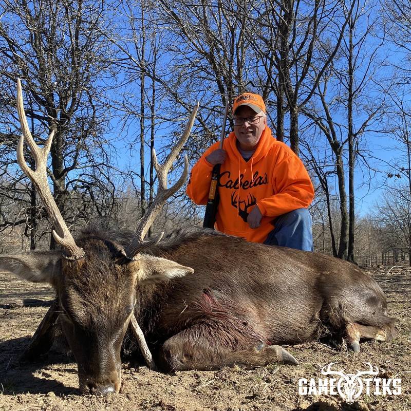 deer harvest by Black Mountain Hunts LLC
