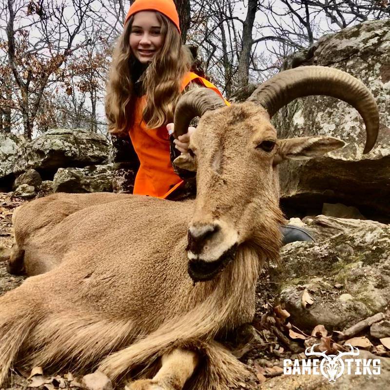bovid harvest by Black Mountain Hunts LLC