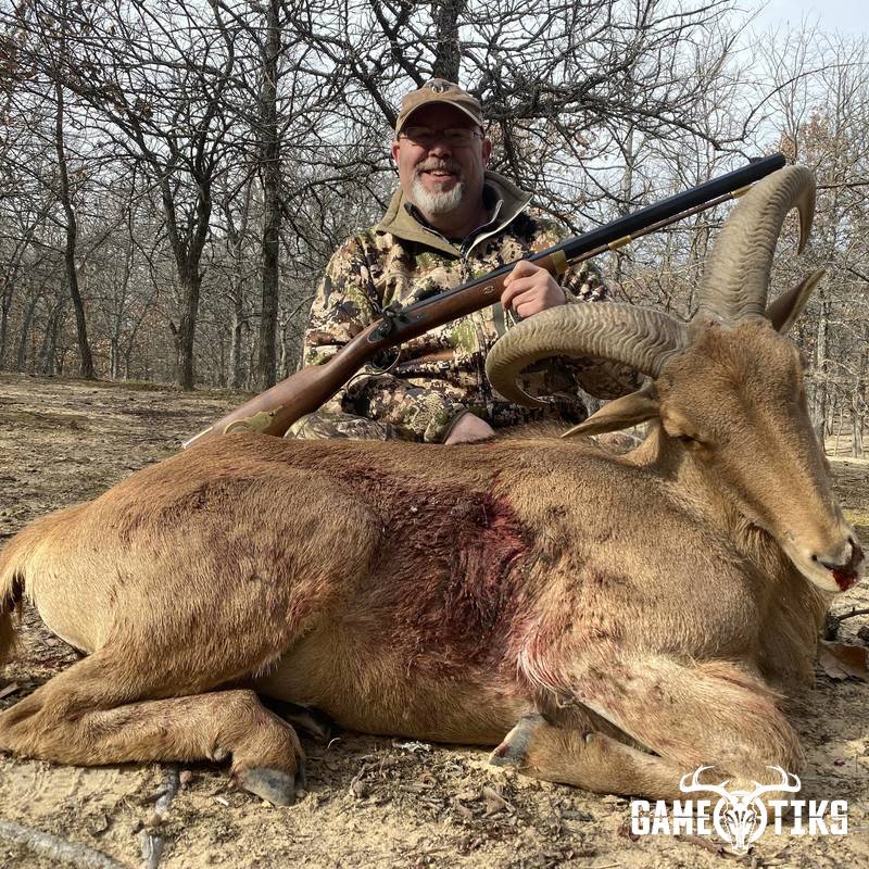 bovid harvest by Black Mountain Hunts LLC