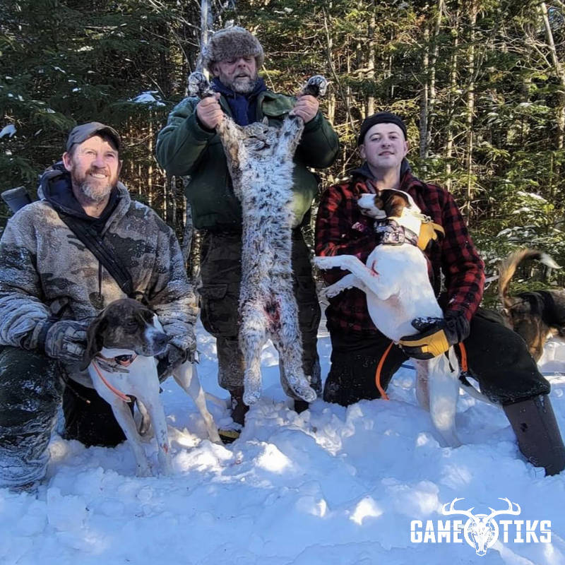 feline harvest by Marsh River Outfitters