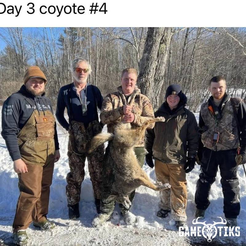 canine harvest by Marsh River Outfitters