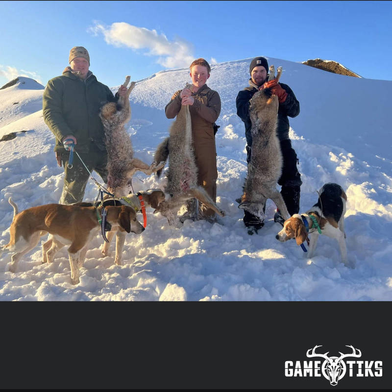 canine harvest by Marsh River Outfitters