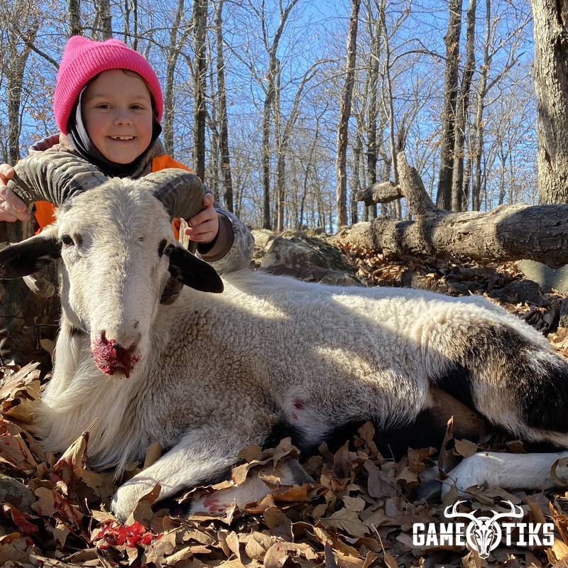 bovid harvest by Black Mountain Hunts LLC