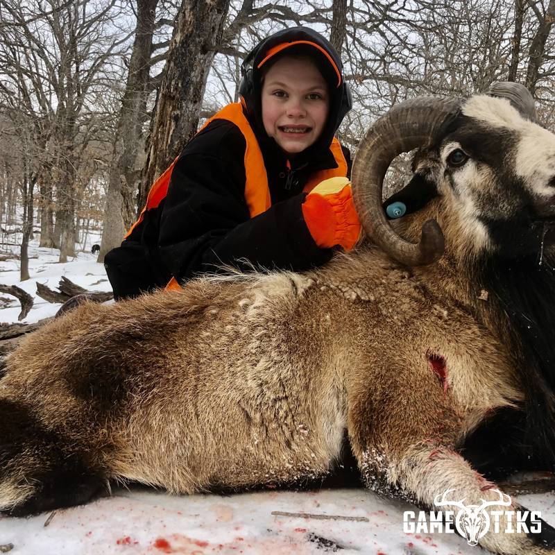 bovid harvest by Black Mountain Hunts LLC