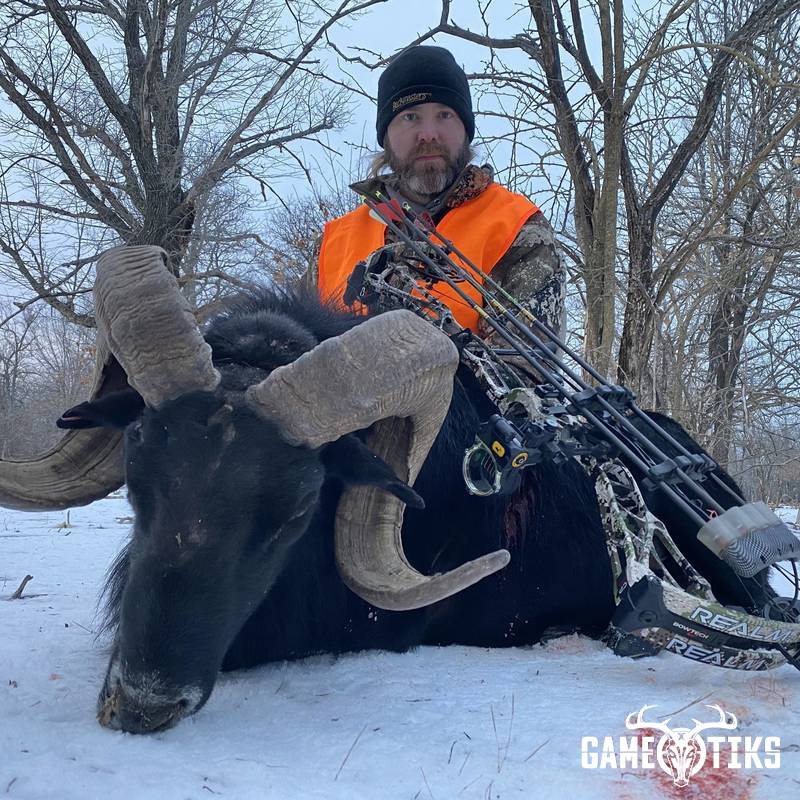bovid harvest by Black Mountain Hunts LLC