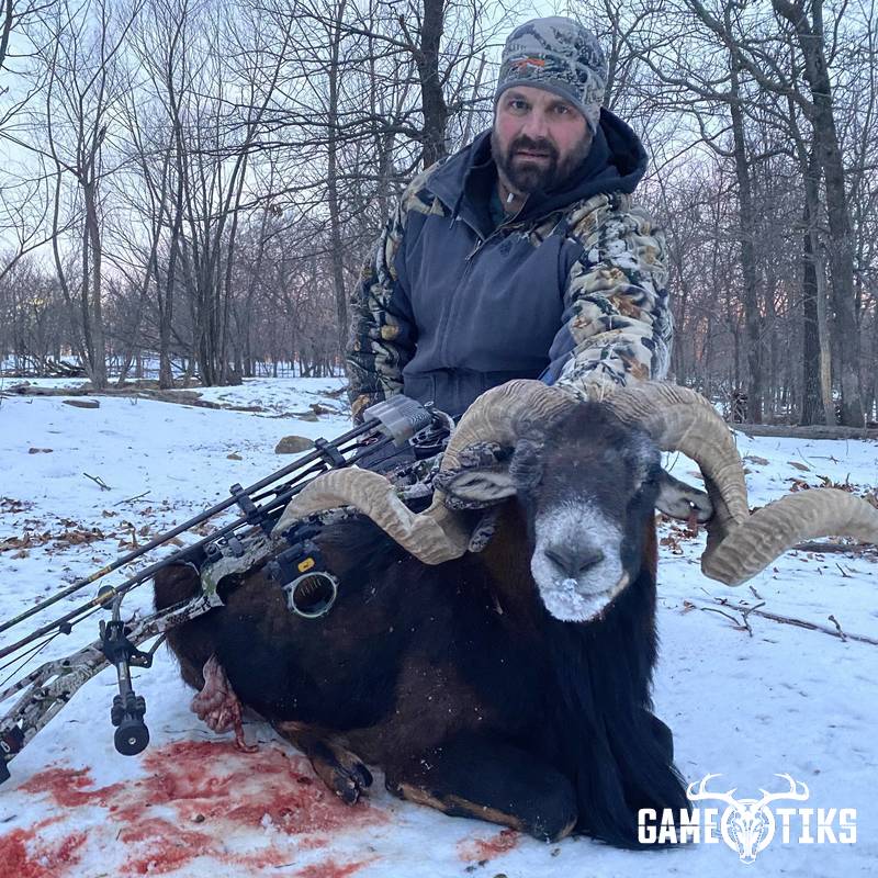 bovid harvest by Black Mountain Hunts LLC