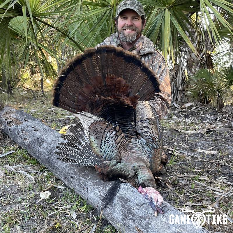 turkey harvest by Matt Queen