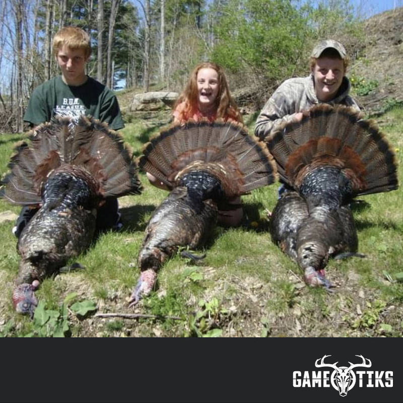 turkey harvest by John Gibbs