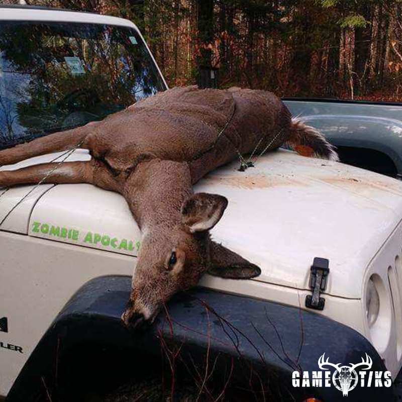 deer harvest by Dan Love