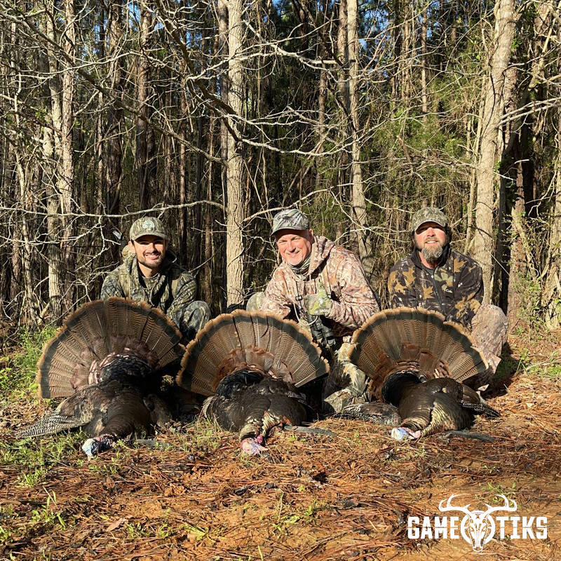 turkey harvest by Matt Queen