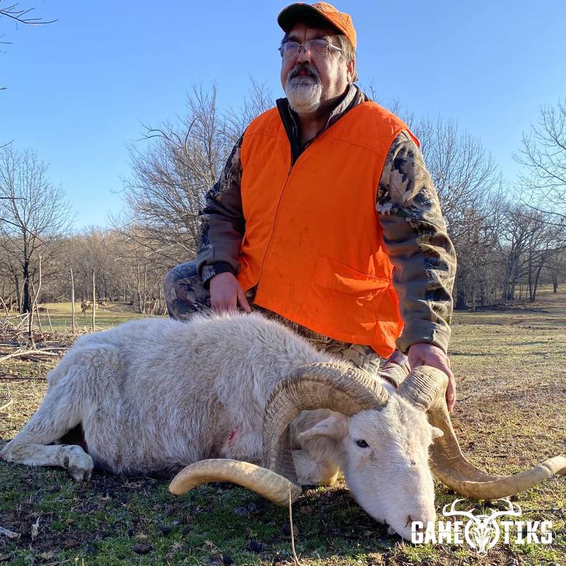 bovid harvest by Black Mountain Hunts LLC