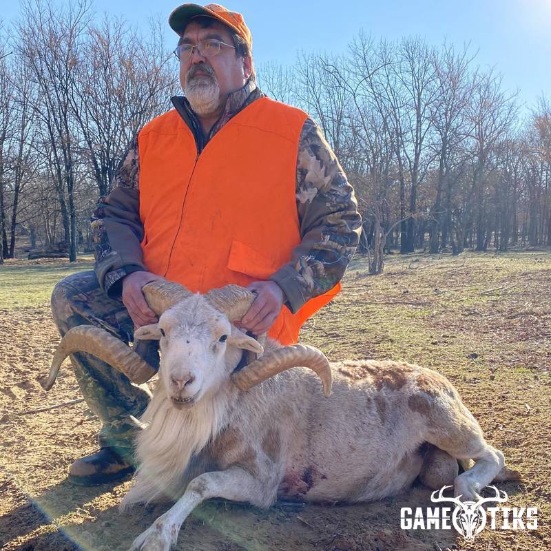 bovid harvest by Black Mountain Hunts LLC