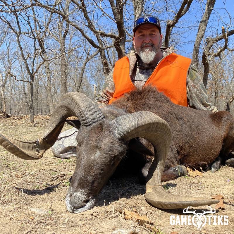 bovid harvest by Black Mountain Hunts LLC