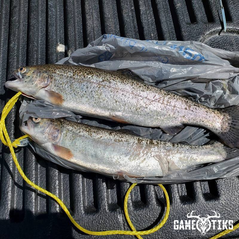 fish harvest by Luke W. Zebrowski