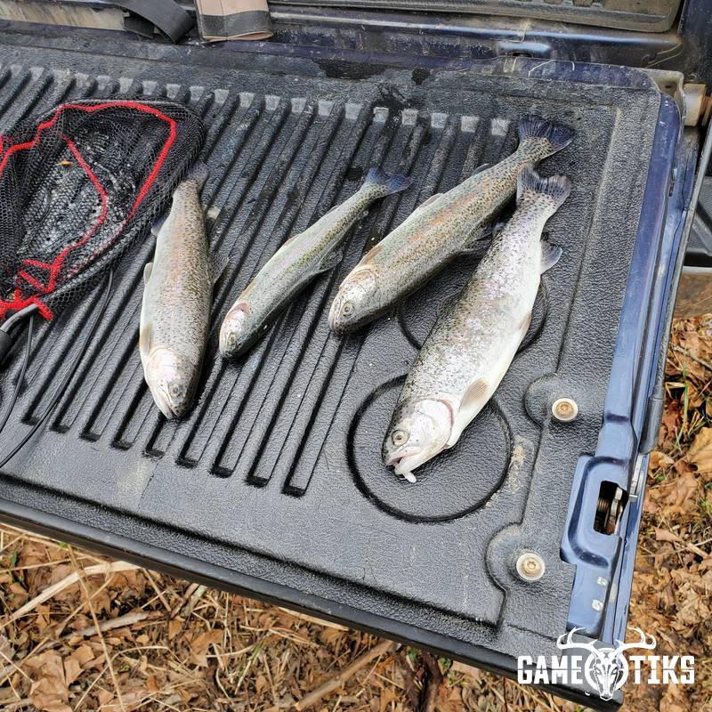 fish harvest by Luke W. Zebrowski