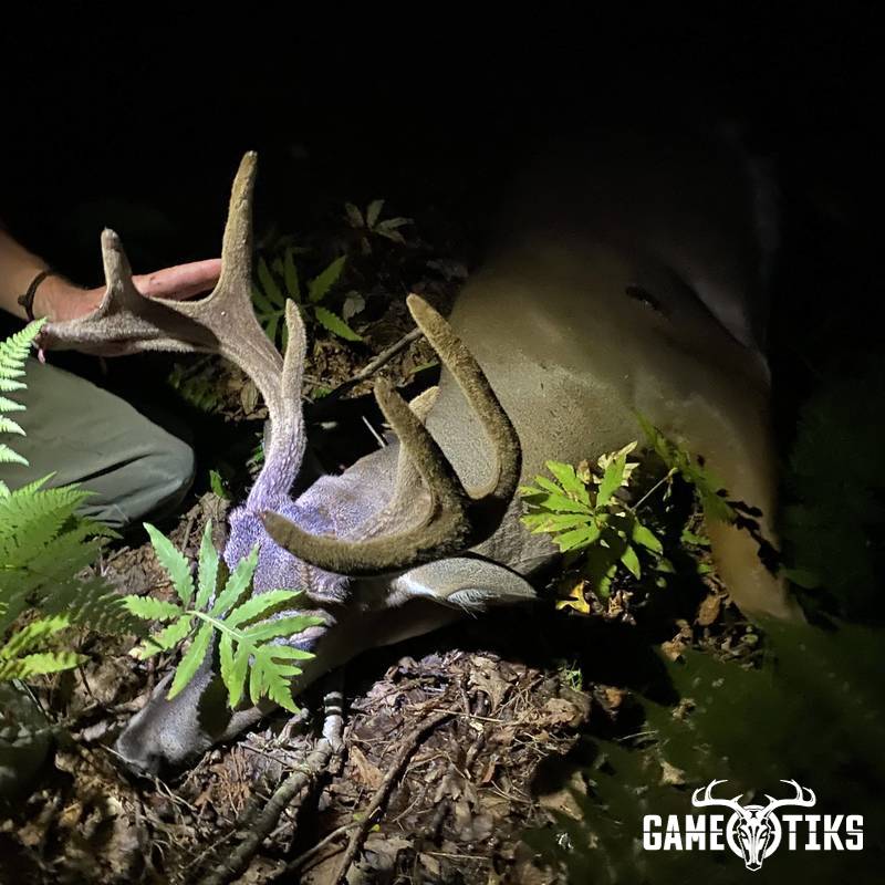 deer harvest by Sawyer Williams