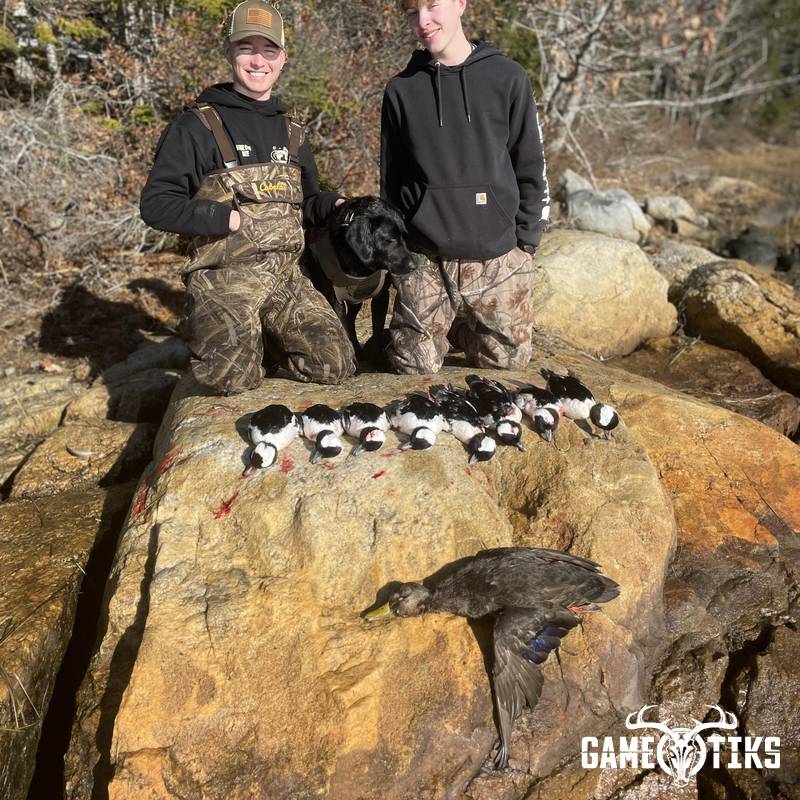 waterfowl harvest by Maine Experience Guide Service