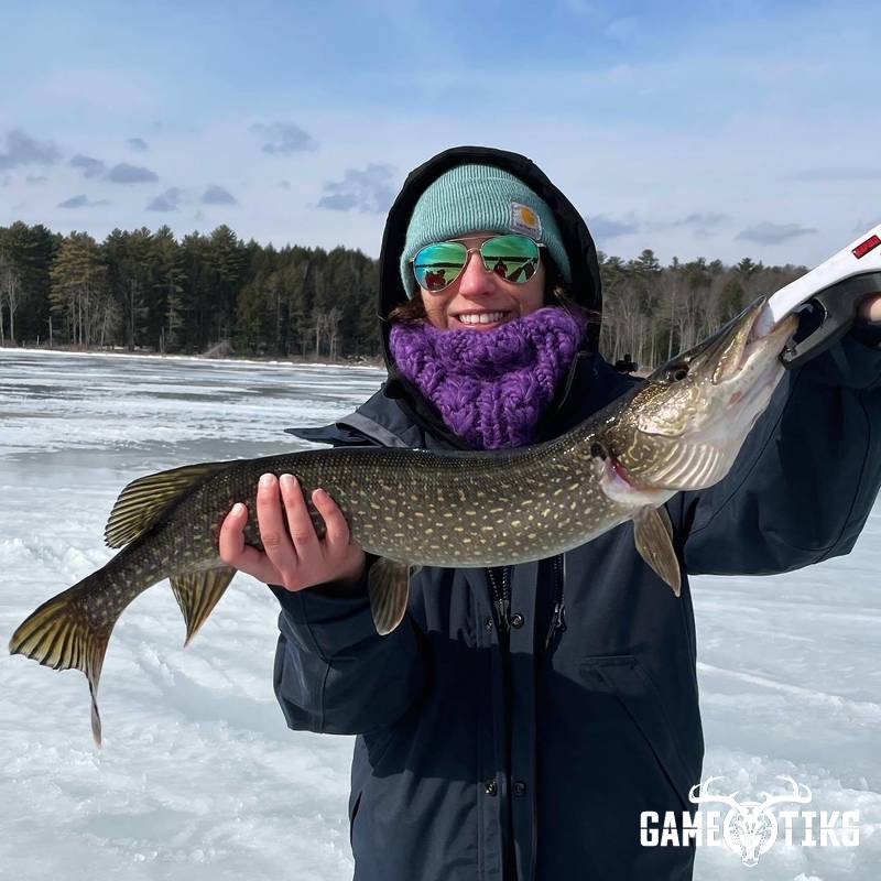 fish harvest by Maine Experience Guide Service