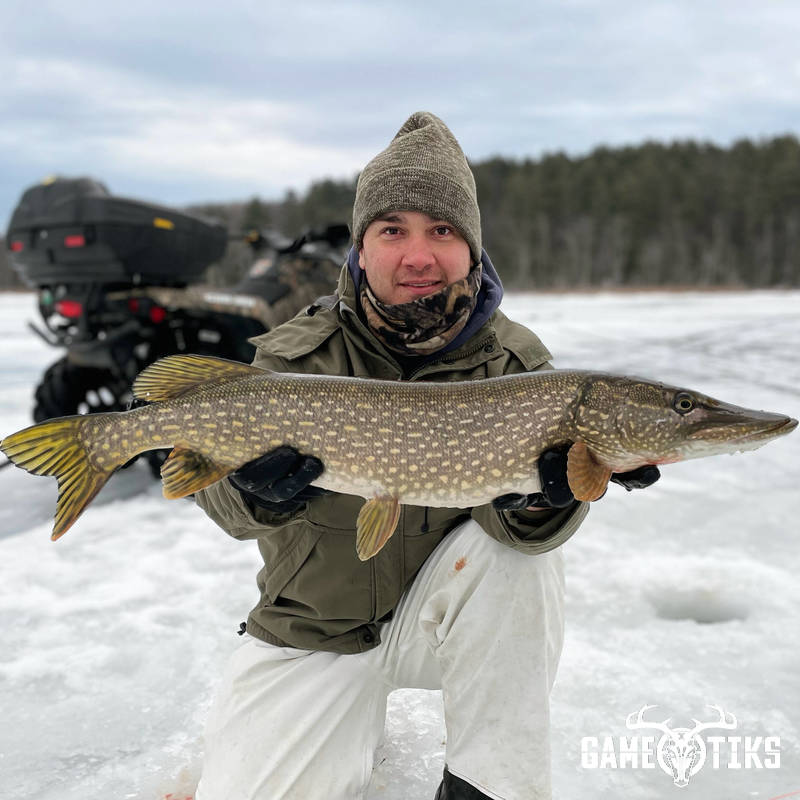 fish harvest by Maine Experience Guide Service