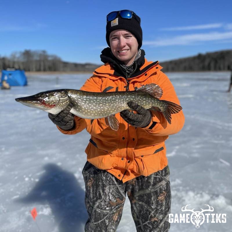fish harvest by Maine Experience Guide Service